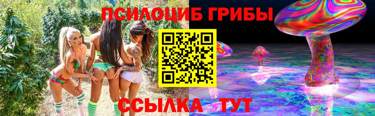 Псилоцибиновые грибы прущие грибы Белово